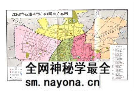 《沈阳市石油公司志一九五一——一九八七》.pdf电子版_辽宁省志预览图2