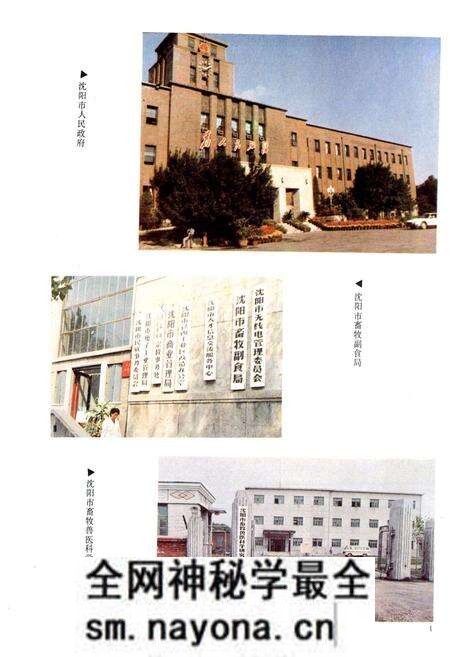 《沈阳市畜牧业志第一卷(1905-1985)》.pdf电子版_辽宁省志预览图2 《沈阳市畜牧业志第一卷(1905-1985)》.pdf电子版_辽宁省志预览图2