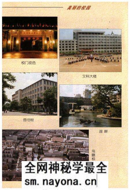 《锦州师范学院校史》.pdf电子版_辽宁省志预览图5 《锦州师范学院校史》.pdf电子版_辽宁省志预览图5