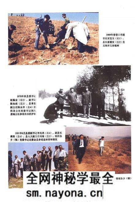 《盖州市林业志》.pdf电子版_辽宁省志预览图4 《盖州市林业志》.pdf电子版_辽宁省志预览图4