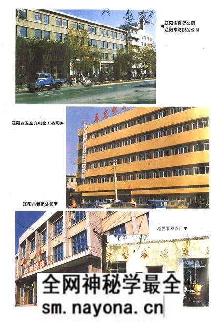 《辽阳市商业志》.pdf电子版_辽宁省志预览图5
