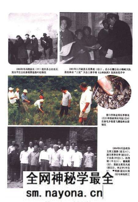 《盖州市林业志》.pdf电子版_辽宁省志预览图5 《盖州市林业志》.pdf电子版_辽宁省志预览图5