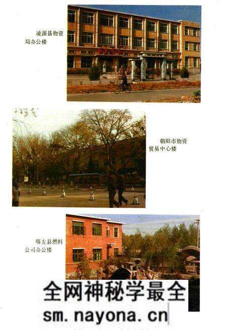 《朝阳市场物资志》.pdf电子版_辽宁省志预览图3 《朝阳市场物资志》.pdf电子版_辽宁省志预览图3