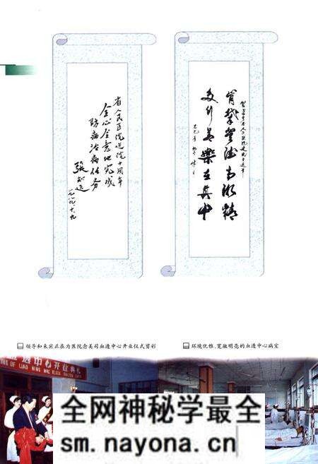 《辽宁省人民医院院志(1979-1997)》.pdf电子版_辽宁省志预览图5