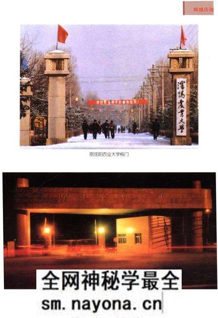 《沈阳农业大学校史》.pdf电子版_辽宁省志预览图3 《沈阳农业大学校史》.pdf电子版_辽宁省志预览图3