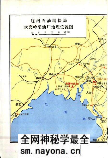 《欢喜岭采油厂志》.pdf电子版_辽宁省志预览图5