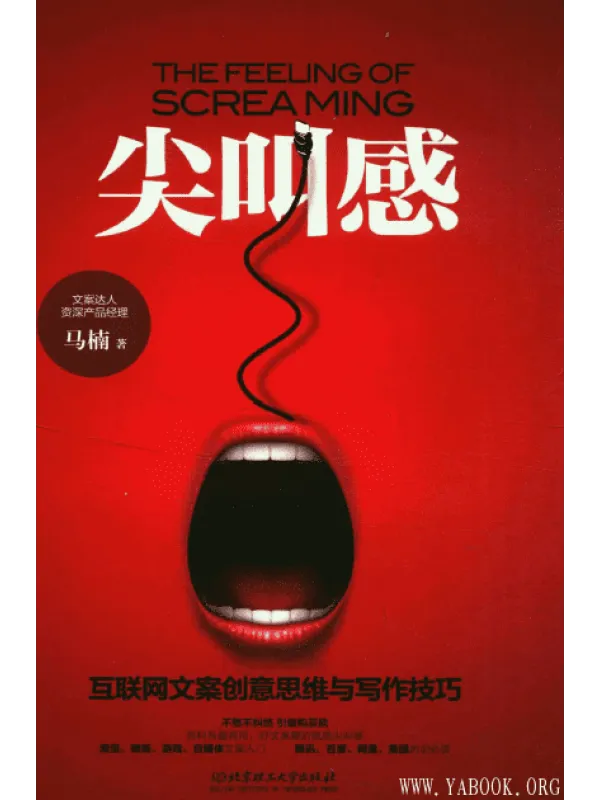 《尖叫感：互联网文案创意思维与写作技巧》封面图片