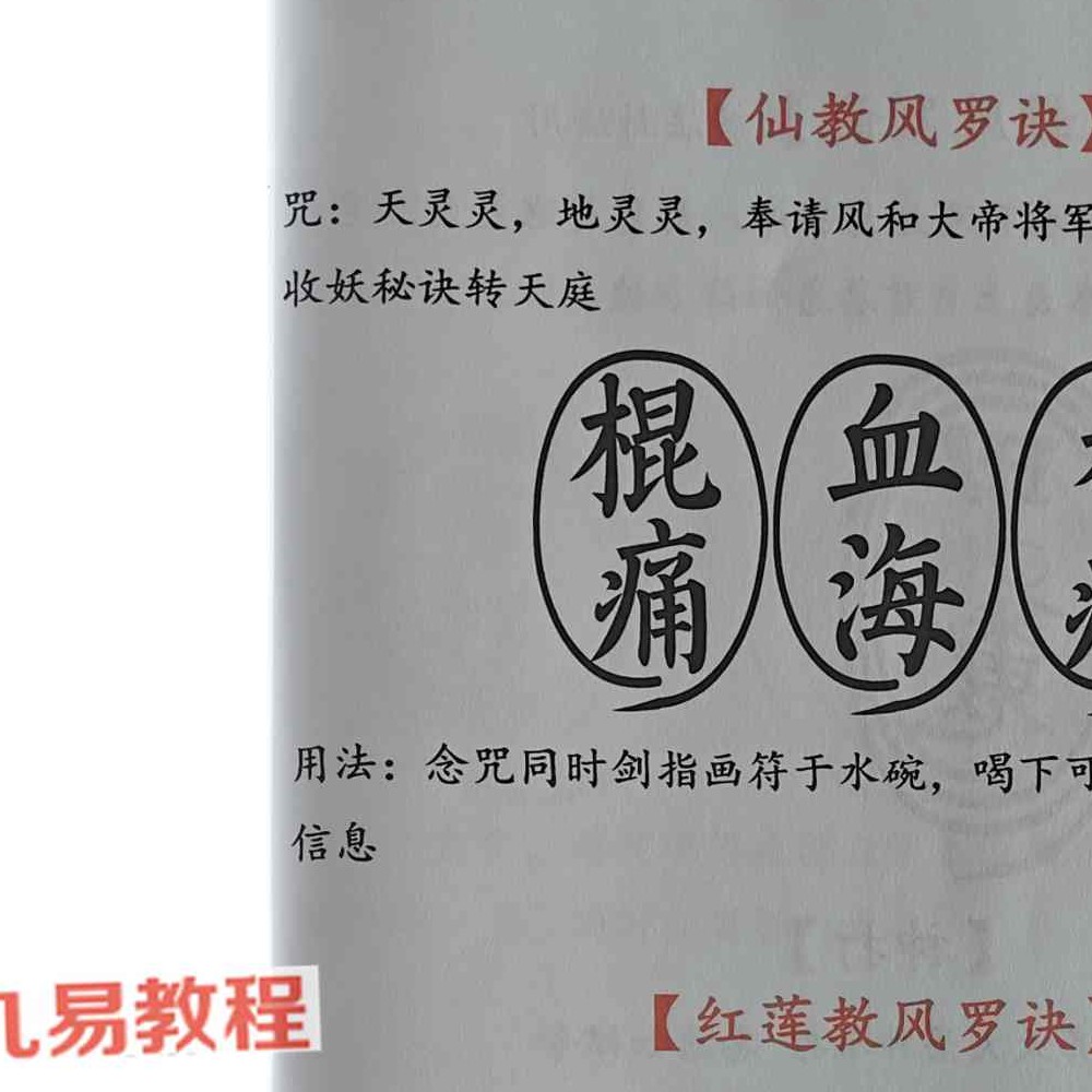 雷州六壬-雷州半岛仙教-雷州一脉仙法-雷州坛仙教-2册-39页+66页 pdf