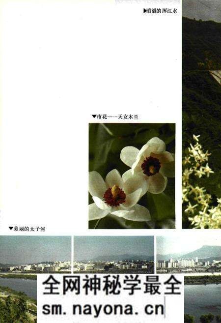《《本溪市水利志(1132-1990)》》.pdf电子版_辽宁省志预览图4 《《本溪市水利志(1132-1990)》》.pdf电子版_辽宁省志预览图4