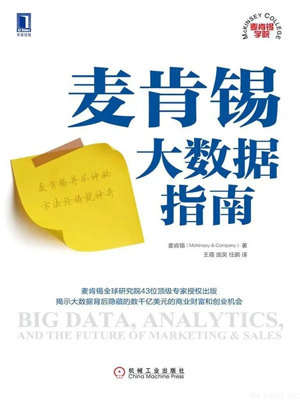 《麦肯锡大数据指南 (麦肯锡学院)》封面图片
