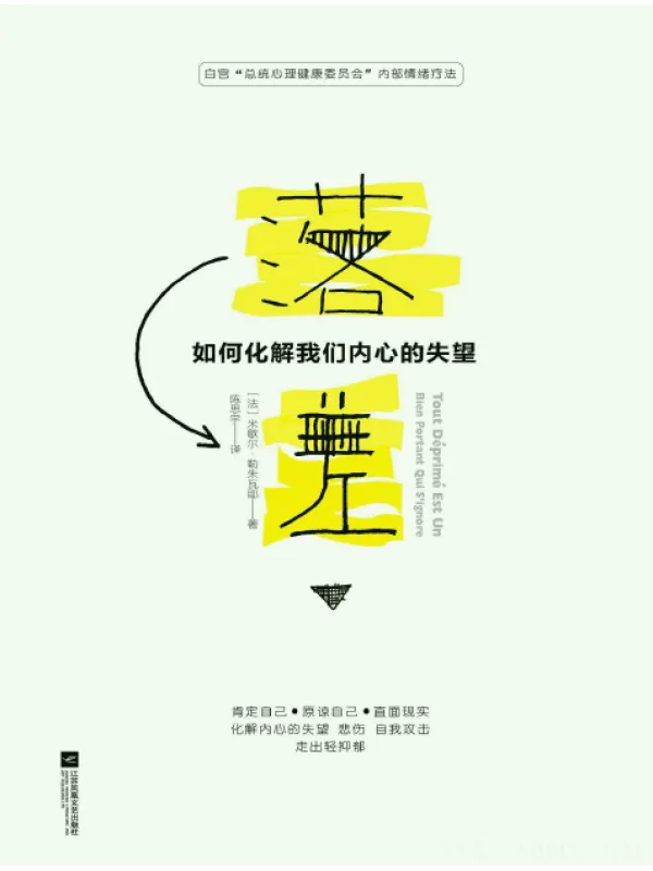 《落差：如何化解我们内心的失望 》封面图片