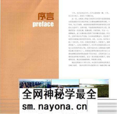 《振兴沈阳10年成就图文志》.pdf电子版_辽宁省志预览图5