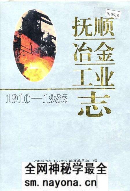 《抚顺冶金工业志》.pdf电子版_辽宁省志预览图