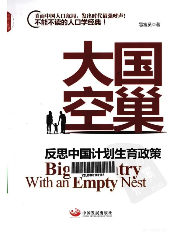 《大国空巢》封面图片