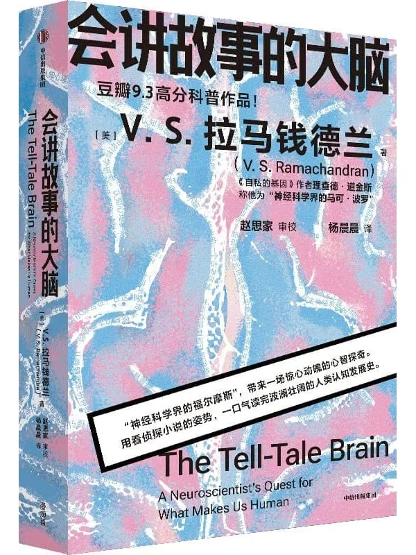 《会讲故事的大脑》封面图片