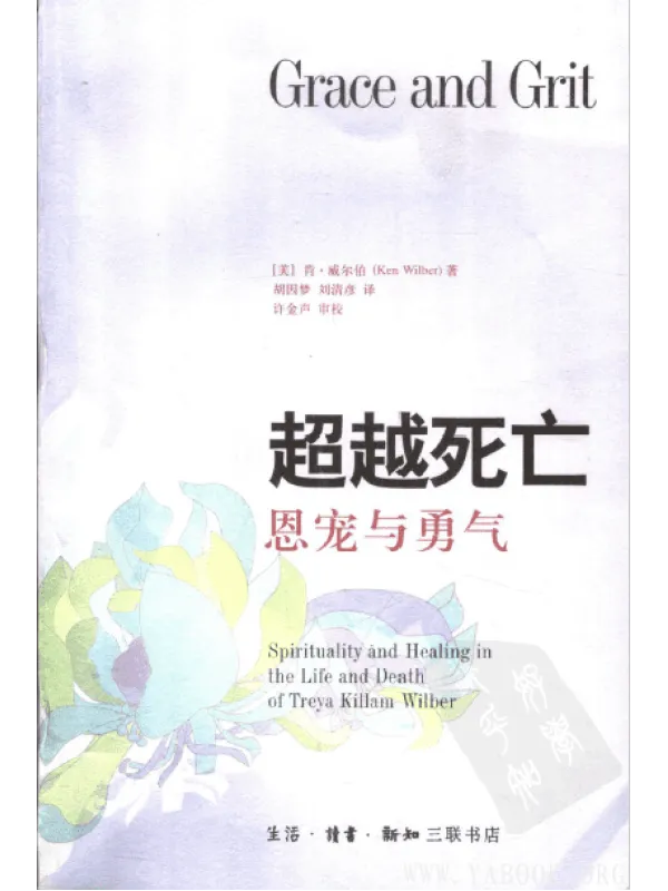 《超越死亡:恩宠与勇气 》封面图片