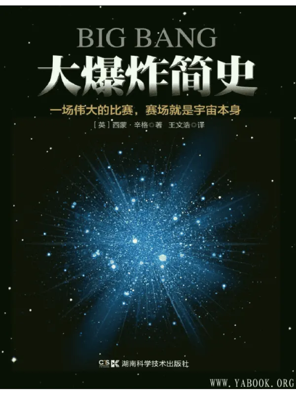 《大爆炸简史》封面图片
