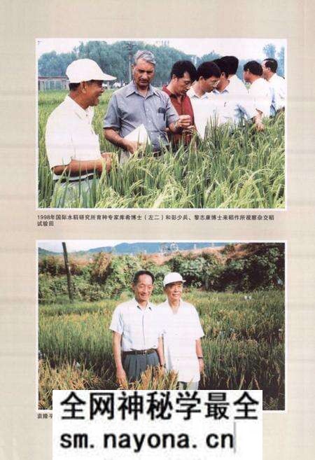 《《稻作研究所所志(1956-2005)》》.pdf电子版_辽宁省志预览图4 《《稻作研究所所志(1956-2005)》》.pdf电子版_辽宁省志预览图4