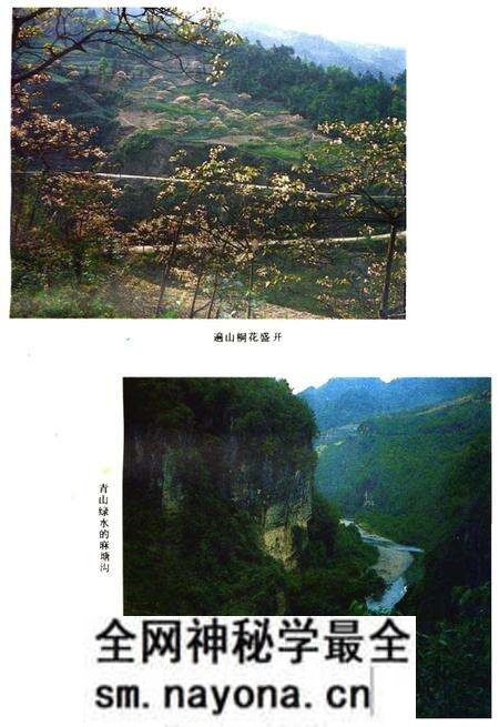 《彭水苗族土家族自治县概况》.pdf电子版_重庆市志预览图4
