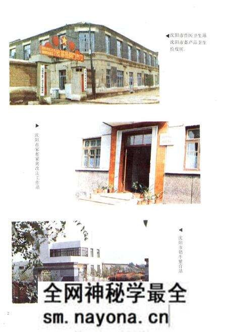 《沈阳市畜牧业志第一卷(1905-1985)》.pdf电子版_辽宁省志预览图3 《沈阳市畜牧业志第一卷(1905-1985)》.pdf电子版_辽宁省志预览图3