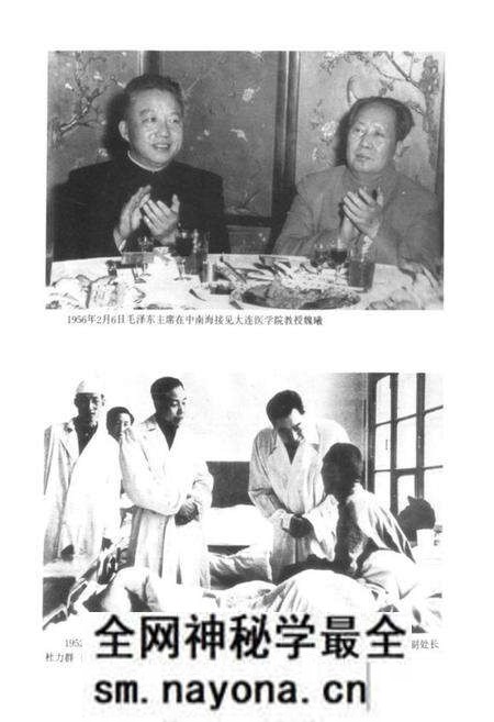 《大连市卫生志(1840-1985)》.pdf电子版_辽宁省志预览图5
