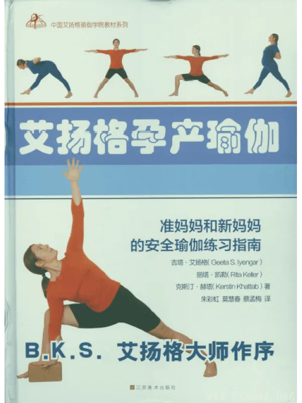 《艾扬格孕产瑜伽》封面图片