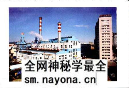 《大连发电总厂志第二卷》.pdf电子版_辽宁省志预览图1 《大连发电总厂志第二卷》.pdf电子版_辽宁省志预览图1