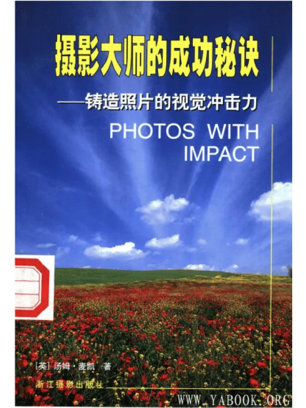 《摄影大师的成功秘诀：铸造照片的视觉冲击力》封面图片
