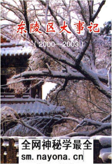 《东陵区大事记（2000-2003）》.pdf电子版_辽宁省志预览图