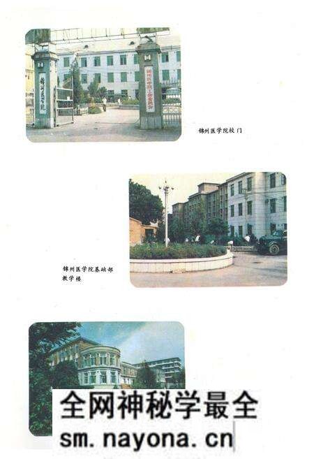《锦州医学院科技志(1958~1988)》.pdf电子版_辽宁省志预览图3 《锦州医学院科技志(1958~1988)》.pdf电子版_辽宁省志预览图3