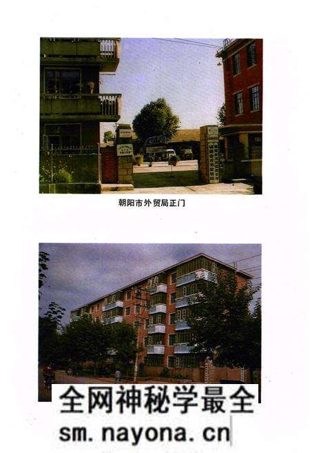 《外贸志(1902-1985)》.pdf电子版_辽宁省志预览图3