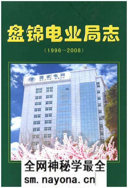 《盘锦电业局志(1996~2008)(下册)》.pdf电子版_辽宁省志预览图 《盘锦电业局志(1996~2008)(下册)》.pdf电子版_辽宁省志预览图