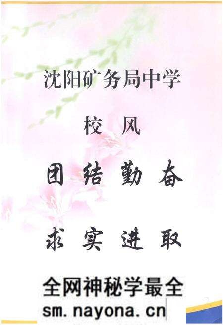 《《沈阳矿务局中学校志(1985-2006)》》.pdf电子版_辽宁省志预览图5 《《沈阳矿务局中学校志(1985-2006)》》.pdf电子版_辽宁省志预览图5