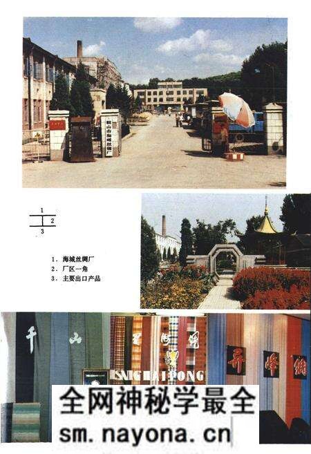 《海城丝绸厂志(1950-1985)》.pdf电子版_辽宁省志预览图2 《海城丝绸厂志(1950-1985)》.pdf电子版_辽宁省志预览图2