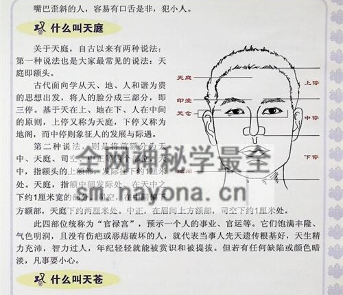 C386观面相手相知心PDF电子书184页