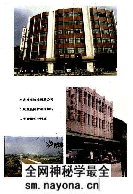 《粮食贸易志》.pdf电子版_湖南省志预览图3 《粮食贸易志》.pdf电子版_湖南省志预览图3