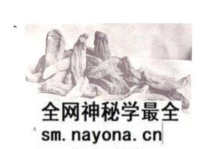 《黔阳县医药志》.pdf电子版_湖南省志预览图5 《黔阳县医药志》.pdf电子版_湖南省志预览图5