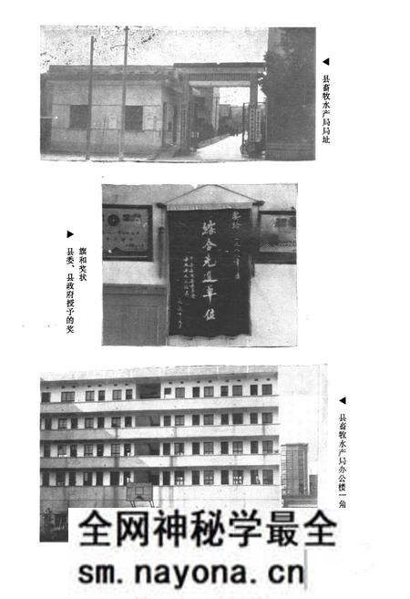 《岳阳县畜牧水产志》.pdf电子版_湖南省志预览图5