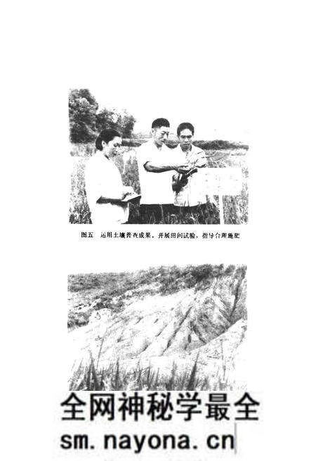 《桃江县土壤志》.pdf电子版_湖南省志预览图5 《桃江县土壤志》.pdf电子版_湖南省志预览图5