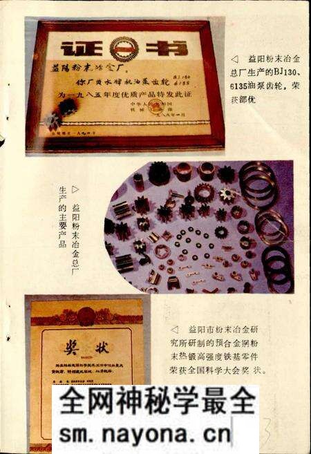 《益阳市冶金机械工业志》.pdf电子版_湖南省志预览图5