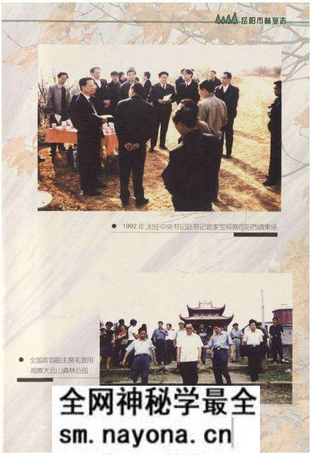 《《岳阳市林业志》》.pdf电子版_湖南省志预览图2