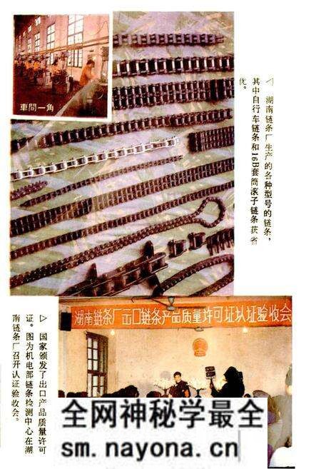 《益阳市冶金机械工业志》.pdf电子版_湖南省志预览图4