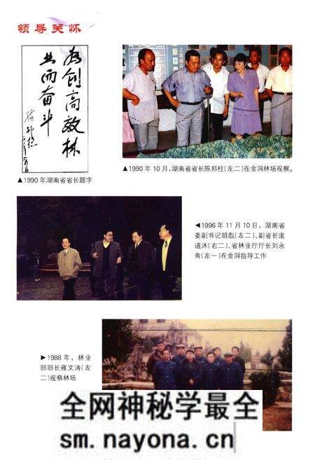 《永州市金洞管理区志》.pdf电子版_湖南省志预览图 《永州市金洞管理区志》.pdf电子版_湖南省志预览图
