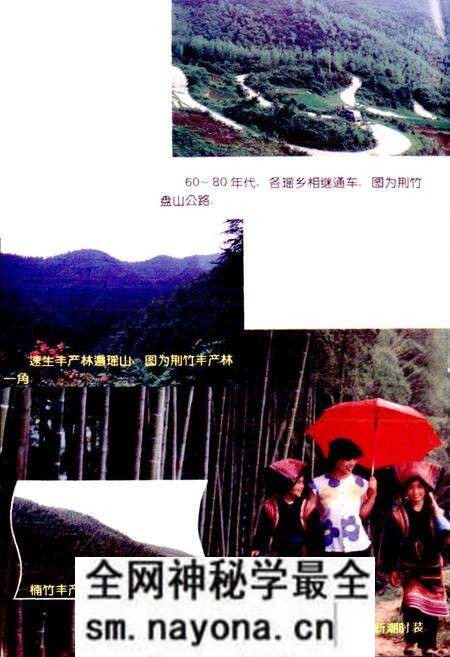 《蓝山县瑶族志》.pdf电子版_湖南省志预览图5 《蓝山县瑶族志》.pdf电子版_湖南省志预览图5