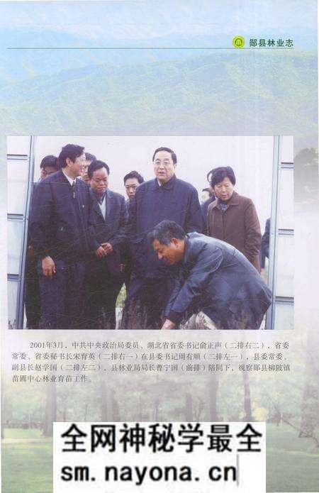 《郧县林业志》.pdf电子版_湖北省志预览图3 《郧县林业志》.pdf电子版_湖北省志预览图3
