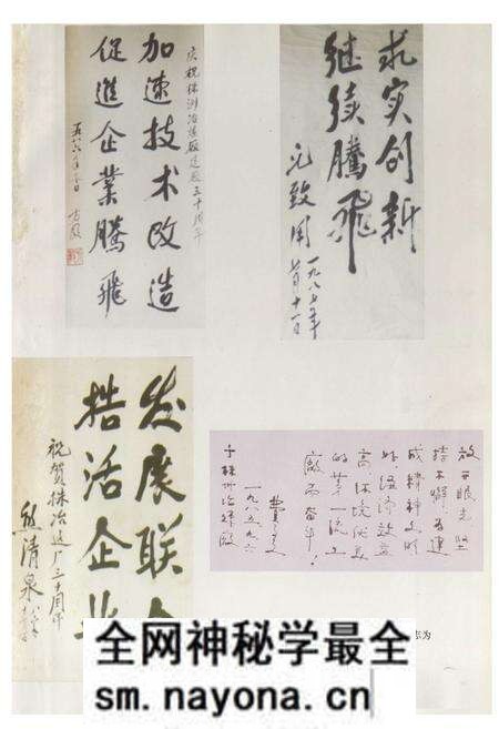 《株洲治炼厂志(第二卷)》.pdf电子版_湖南省志预览图2 《株洲治炼厂志(第二卷)》.pdf电子版_湖南省志预览图2