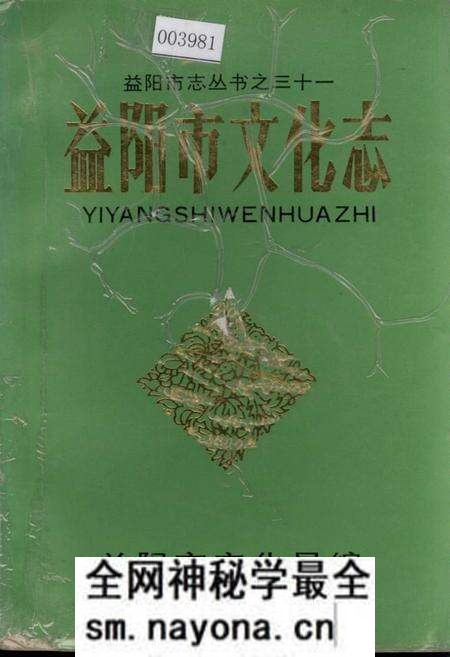 《益阳市文化志》.pdf电子版_湖南省志预览图 《益阳市文化志》.pdf电子版_湖南省志预览图