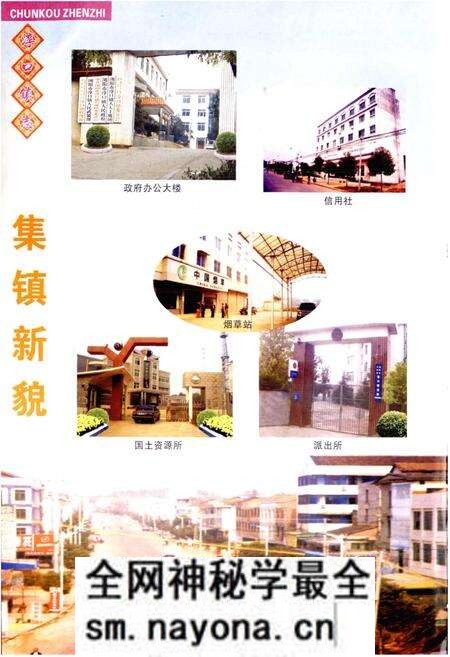 《湖南省浏阳市淳口镇志》.pdf电子版_湖南省志预览图4 《湖南省浏阳市淳口镇志》.pdf电子版_湖南省志预览图4