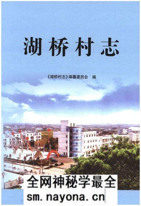 《湖桥村志》.pdf电子版_江苏省志预览图