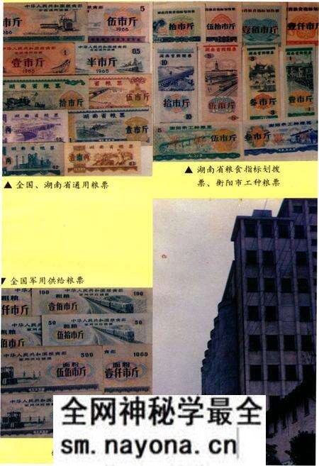 《衡阳市粮油志》.pdf电子版_湖南省志预览图4 《衡阳市粮油志》.pdf电子版_湖南省志预览图4